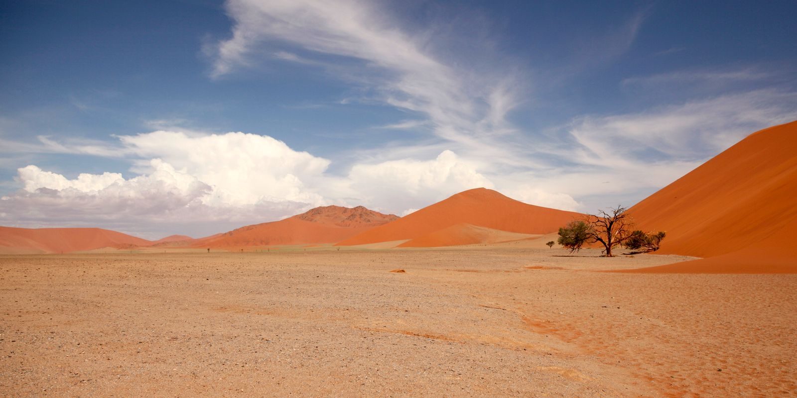 Red sand dunes and a lone acacia tree under a wide blue sky in the Namib Desert