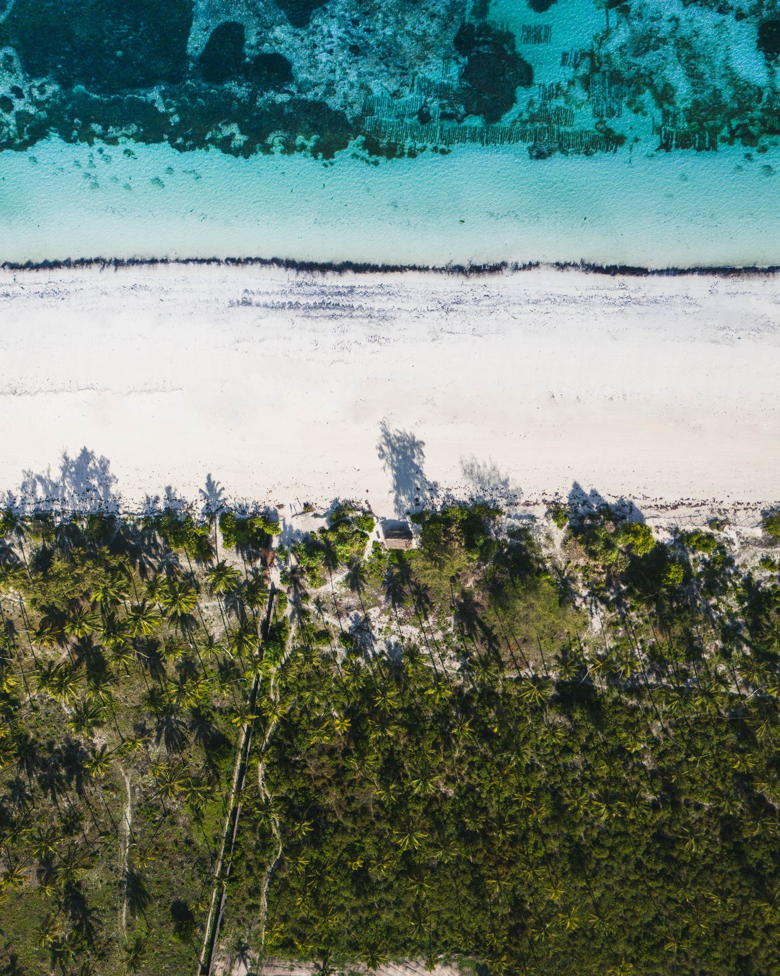 Aerial view of Zanzibar's turquoise beaches and coastline