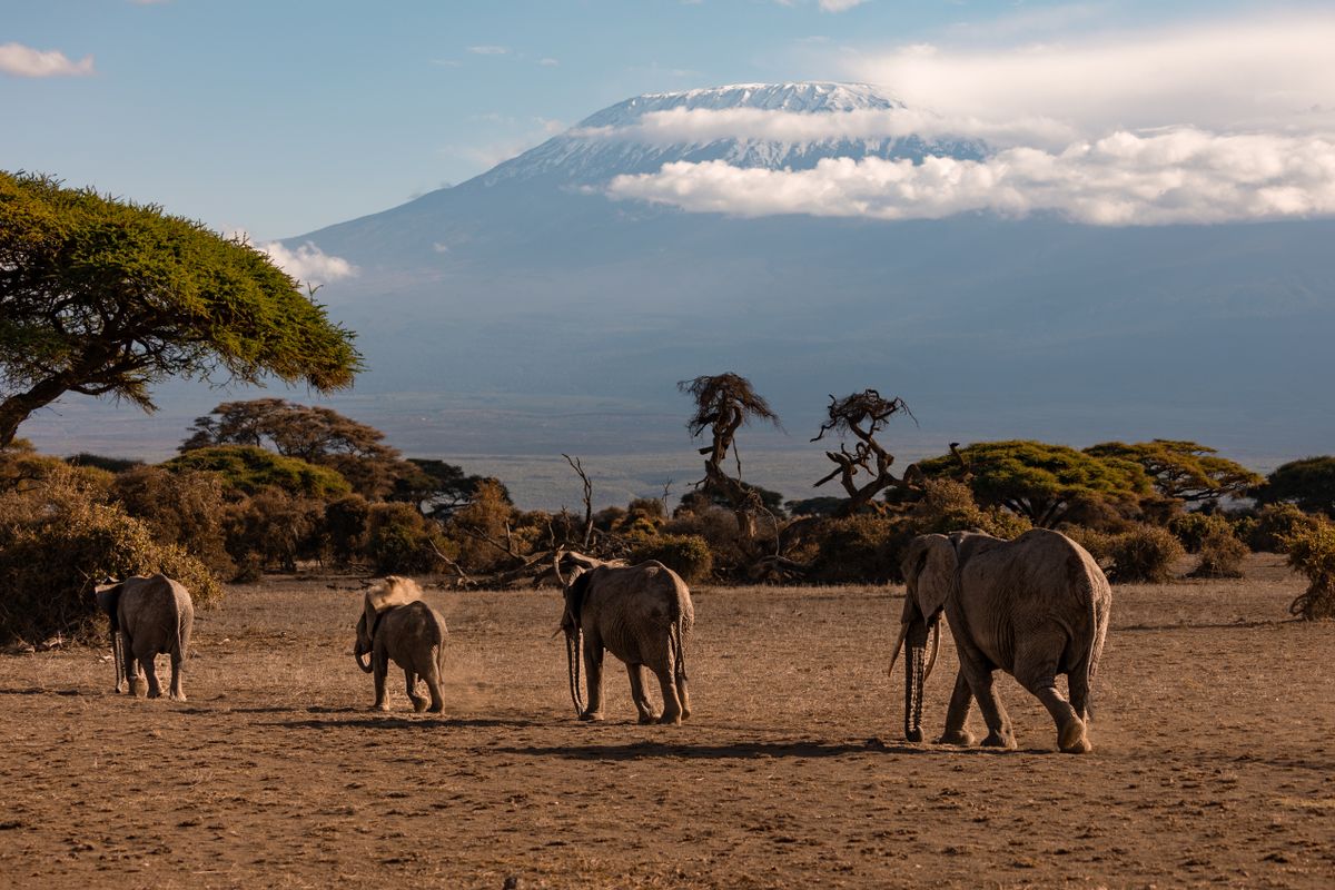 11 Days Flying Kenya in Style thumbnail 3