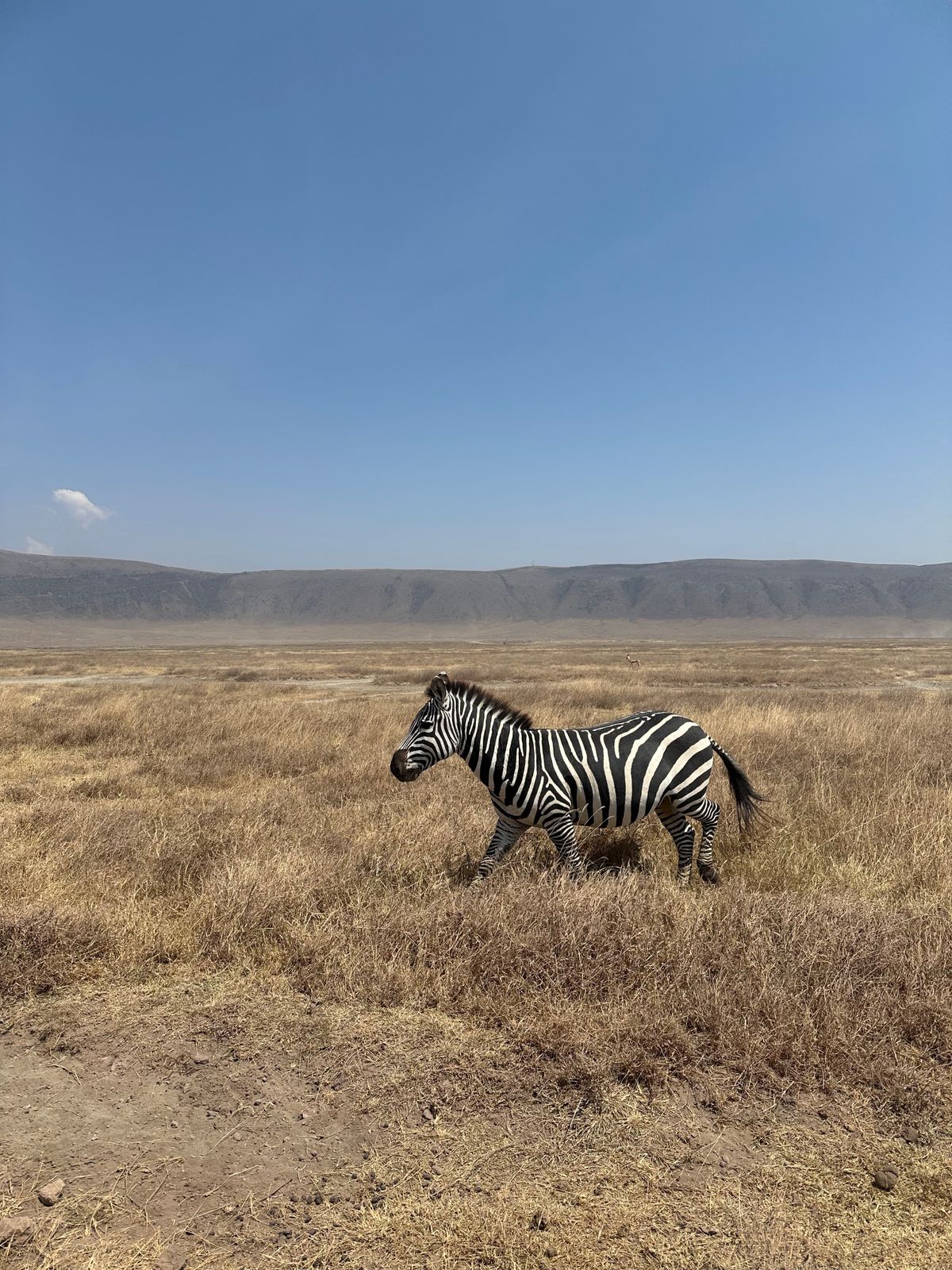 13-Day East Africa Trails Experience thumbnail 3