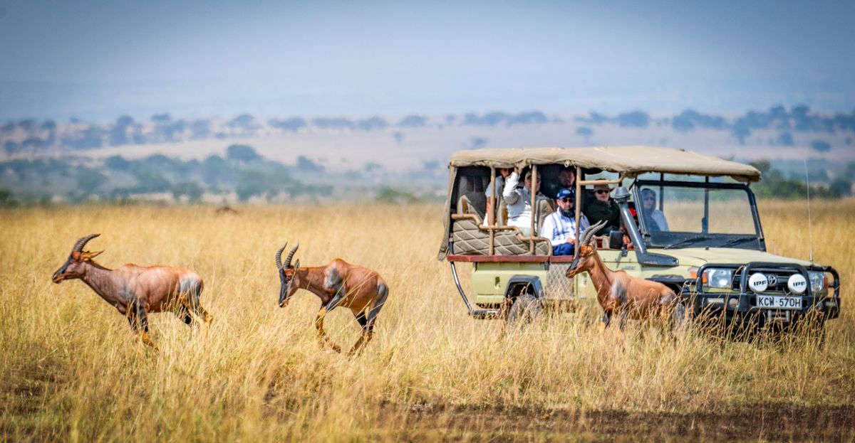 14-Day East Africa Style — Kenya & Tanzania – Lewa, Masai Mara, Serengeti, Ngorongoro, Tarangire