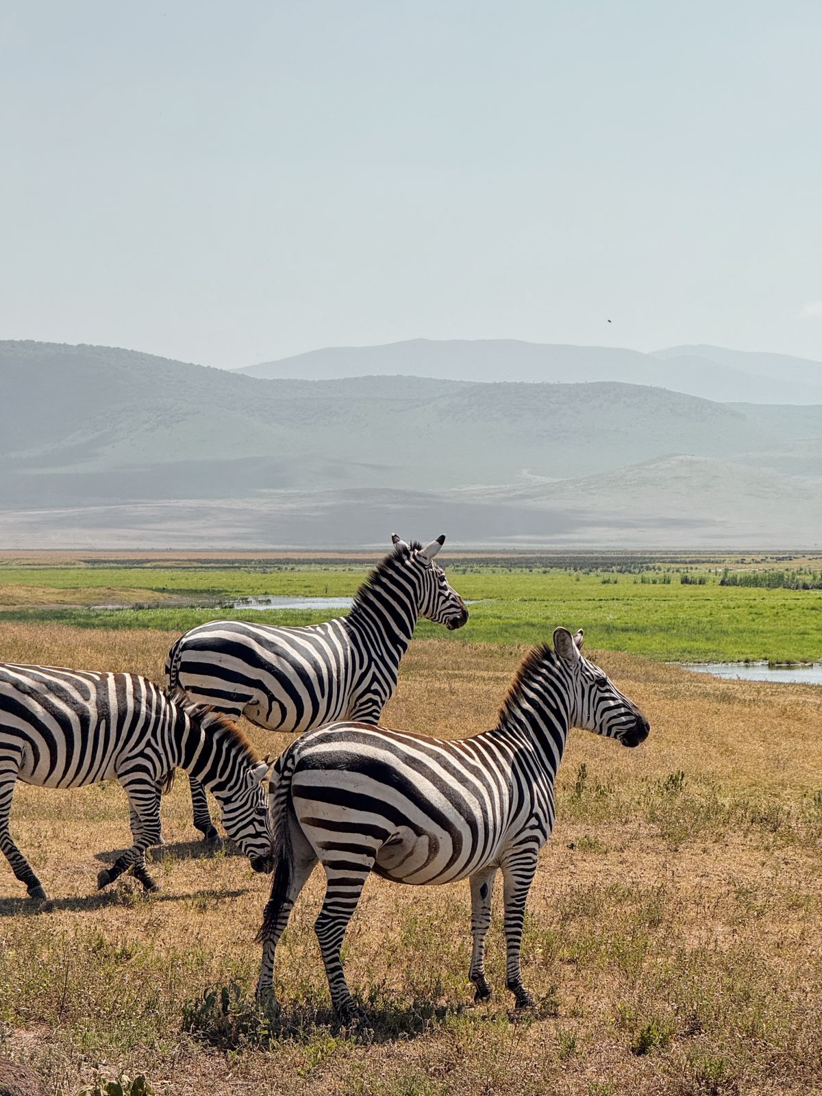 14-Day East Africa Style thumbnail 2