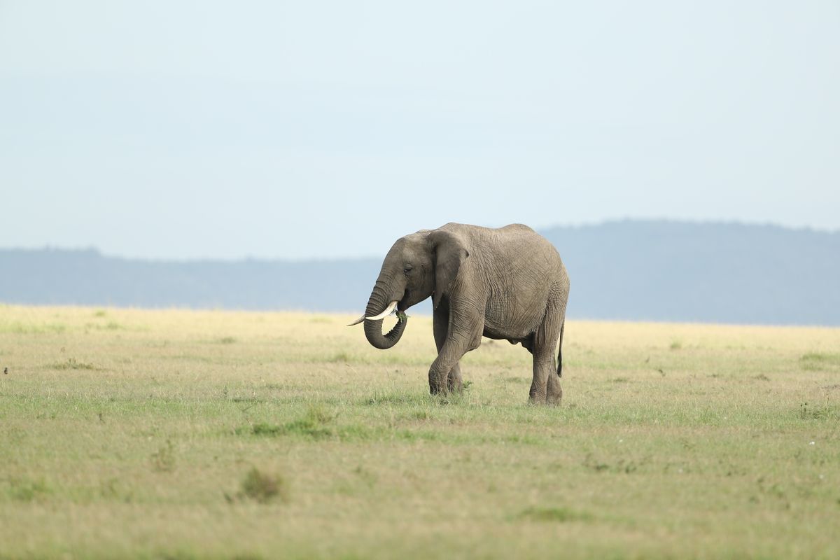 7-Day Kenya Trails thumbnail 3